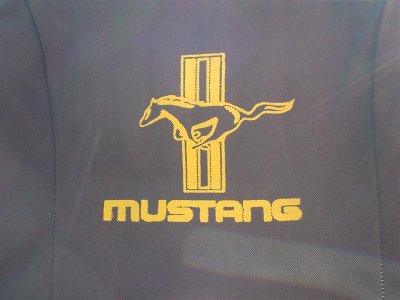 MustangCvr3 (Medium).JPG