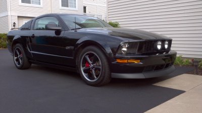 Mustang13.jpg