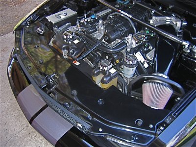 GT500 Radiator Cover 1.jpg
