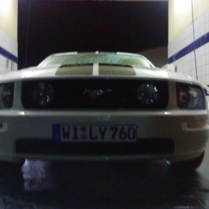 stang low front