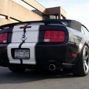 MoStang Rear Right