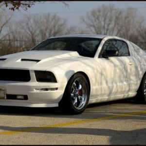My 2005 Mustang