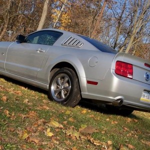 Stang Rear