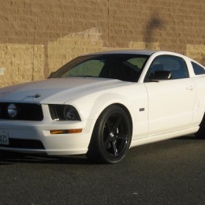 Mustang 02.08.10 007