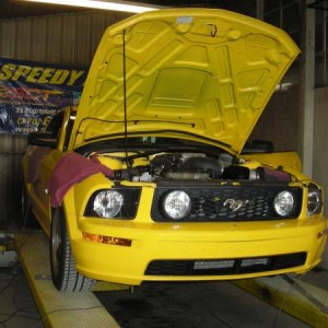 at SpeedyDyno in Owensboro, KY March2010