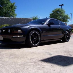 stang front