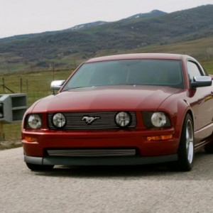 Mustang6