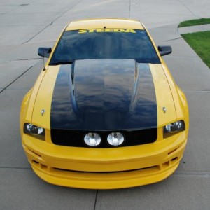 Yellow Stang Upper Front