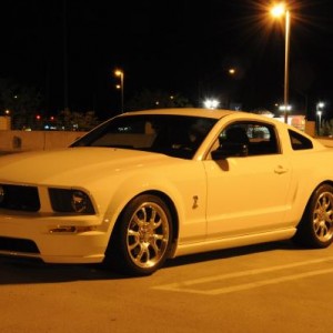 Mustang1