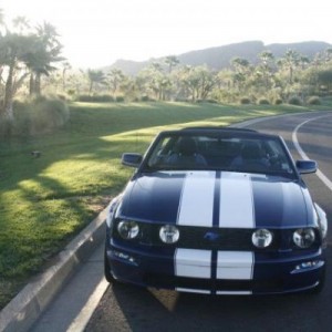 Mustang 012