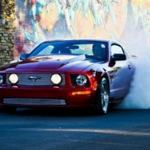 mustang burnout