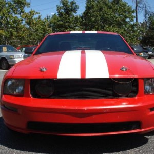 06 Mustang 01