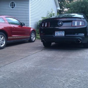 Mustang 2011 019