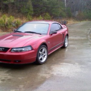 First mustang