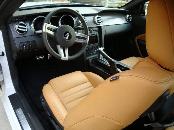 2008 Mustang GT Premium (Interior)
