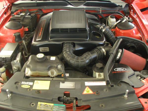 Ford Racing CAI and Shaker. Screamin Demon Coil. Race Design Shorty headers. Steeda Throttle Body Spacer.