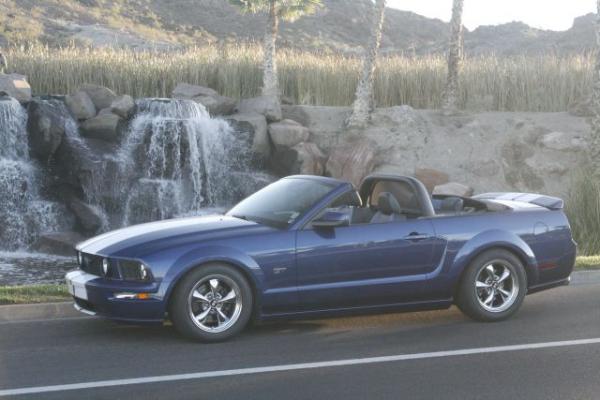 Mustang 002