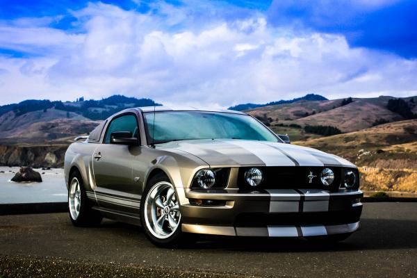Mustang 010