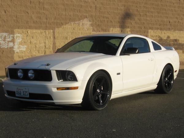 Mustang 02.08.10 007