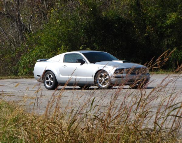 Nov 2011 at the base of the Dragon.  We just installed a billet grille, GT 500 rear sway bar and a Saleen front sway bar.  We had a lot of fun that da