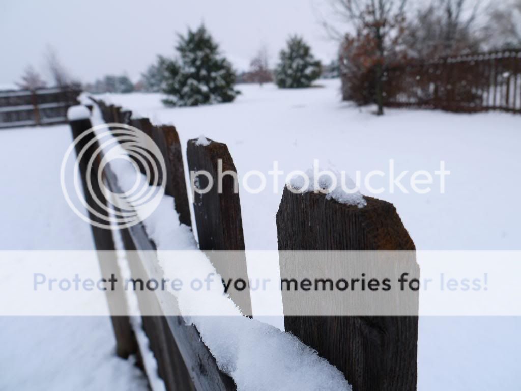 Snowfence_zpsf05ab250.jpg