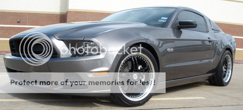 Mustang006.jpg