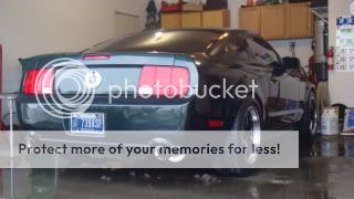 2008MustangBullitt2479Pics010-1.jpg