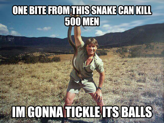 funny-pictuere-snake-kill-tickle-steve-irwin.jpg