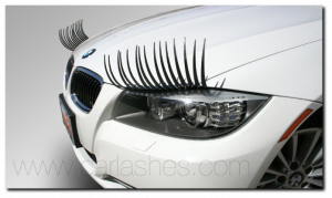 carlashes-300x179.png
