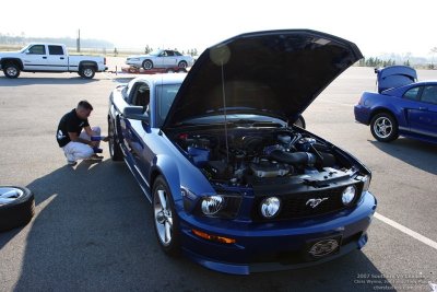 sv6c5.jpg