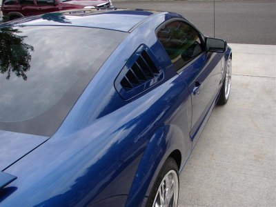 DSC00334 (Medium).JPG