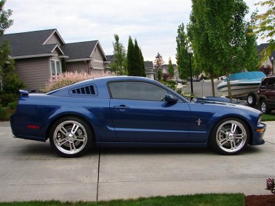 DSC00344 (Medium).JPG