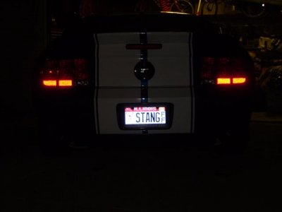 STANG 2006 016 (Small).jpg