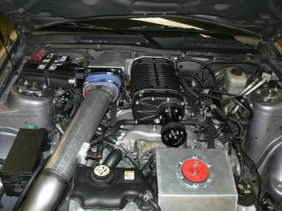 sheet metal intake 037.jpg mod.jpg