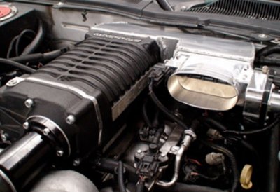 STwhippleintake2web.jpg