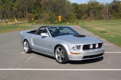 100_1407 (600 x 400).jpg