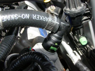 pcv oil and prom 002.JPG