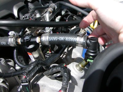 pcv oil and prom 003.JPG
