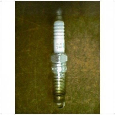 08 mustang plug.jpg