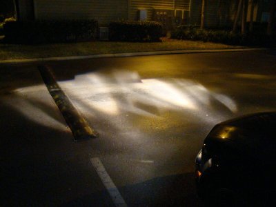 DSC06969 (Large).JPG