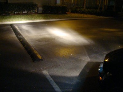 DSC06974 (Large).JPG