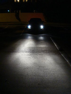 DSC06975 (Large).JPG