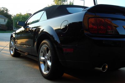 Mustang 2010 028.jpg