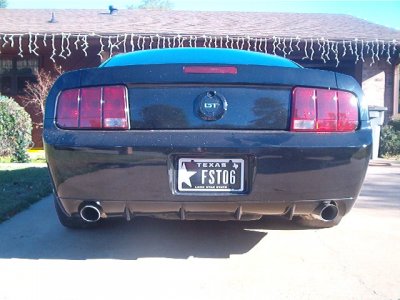 stang 003.JPG