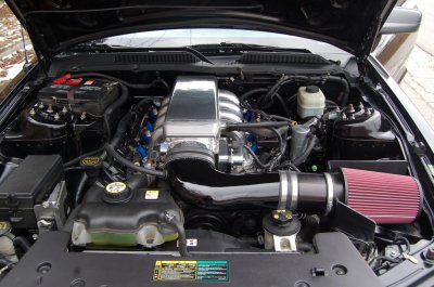 DSC_5974.jpg