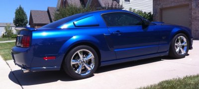 Mustang1.JPG