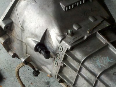 2011-01-02_12-37-38_234.jpg