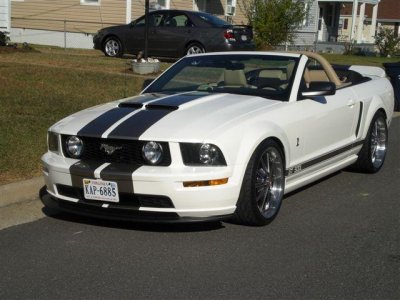 brads stang 002.jpg