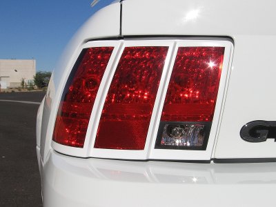 IMG_1222.jpg