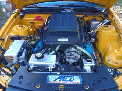 s197.jpg